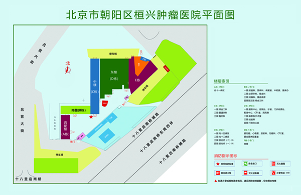 晚上看片草逼大全北京市朝阳区桓兴肿瘤医院平面图